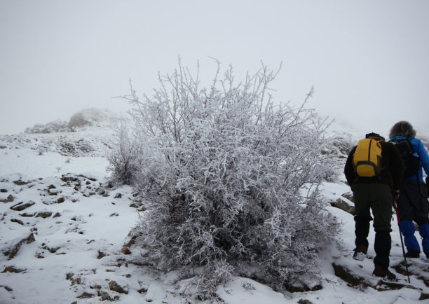 一群登山队员在白雪覆盖的群山中穿行。图片下载