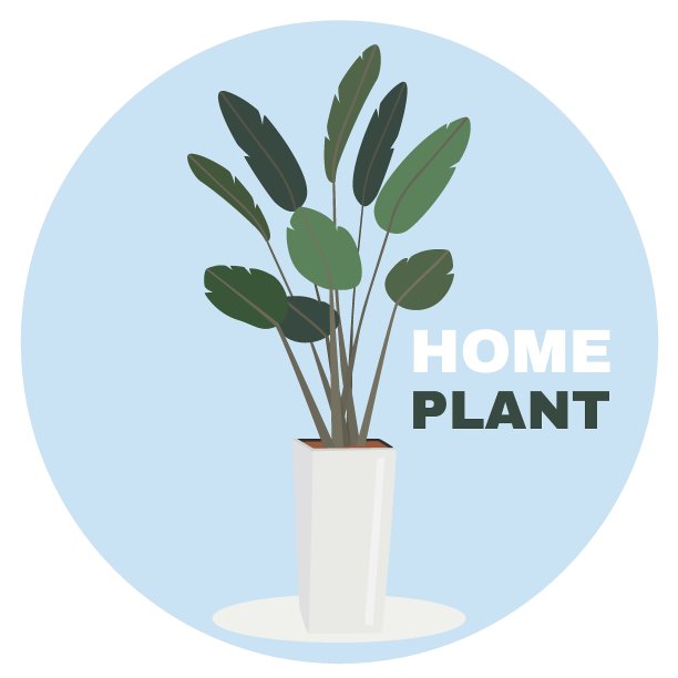 手绘绿色植物盆栽。家居装饰，舒适的植物，植物叶。装饰花艺术收藏孤立在白色的背景。彩色绿色矢量涂鸦插图图片下载