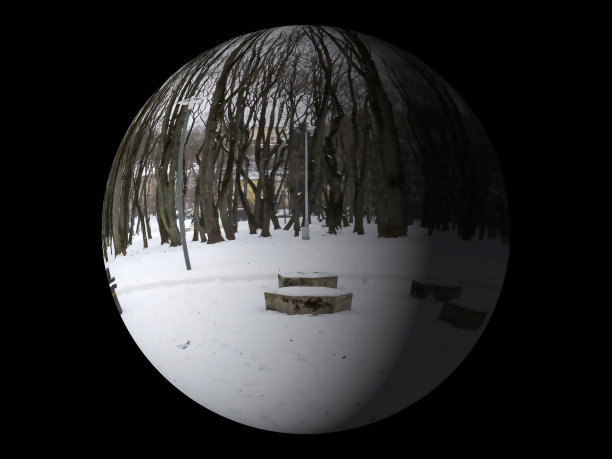 数字插图树圈背景图片下载