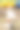 成年硬毛杰克罗素梗白色和红色坐与前爪抬起图片下载