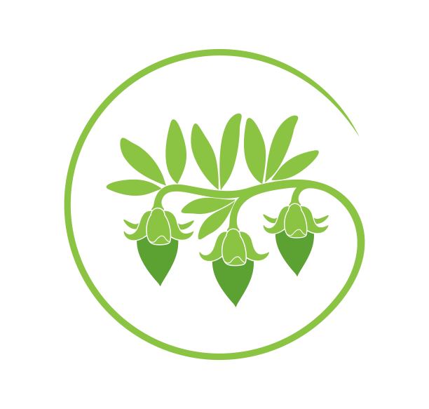 荷荷巴油的标志。孤立的荷荷巴在白色背景图片下载