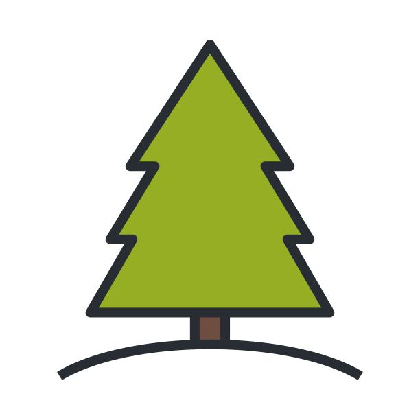 常绿林图标。杉树或松树的象征。图片下载
