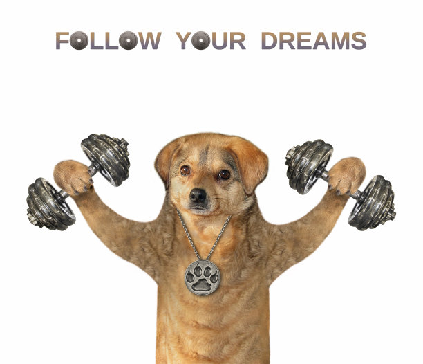 狗米色举起哑铃图片下载