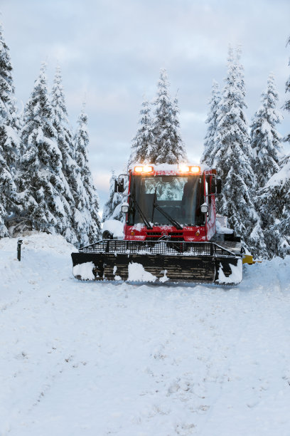 红色雪道毛虫为雪美容图片下载