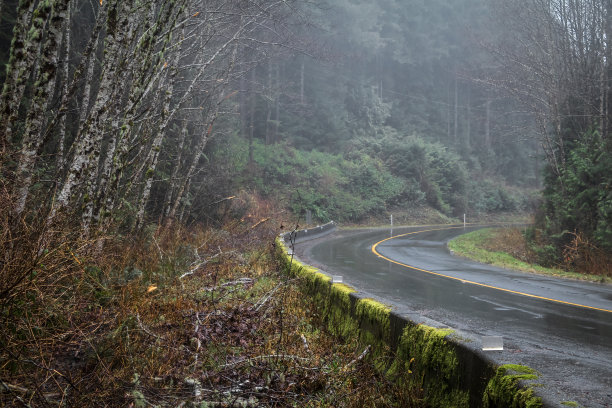 湿西海岸路图片下载