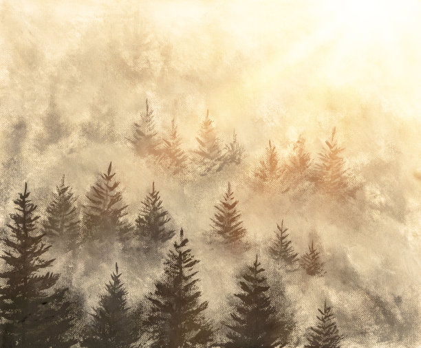 日出后，山松林坡上的晨雾。图片下载