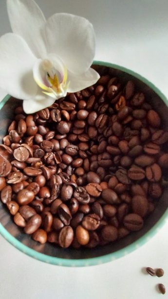 罐装咖啡图片下载