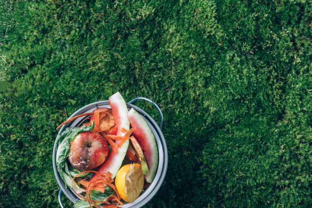 前视图。厨房食物垃圾在回收堆肥罐中收集。去皮的蔬菜在堆肥箱中，在绿草和苔藓的背景下。可持续、零浪费的生活。对环境负责的行为图片下载