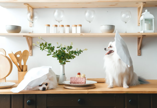 漂亮的狗狗戴着厨师帽，摆着餐桌上美味的蛋糕在厨房里。图片下载