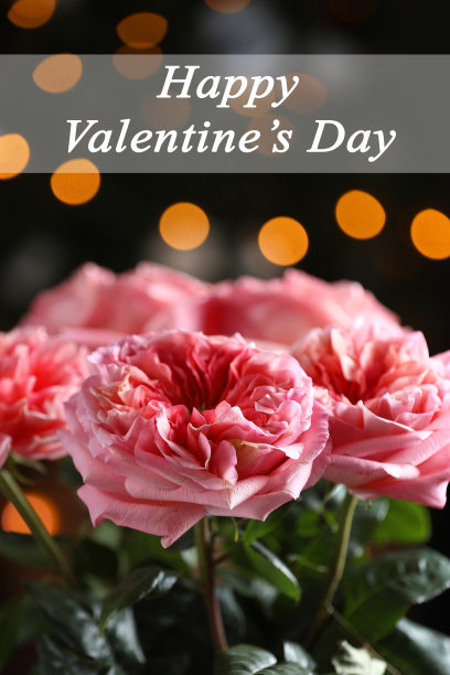 情人节贺卡。情人节的概念。黑色背景上的新鲜粉色玫瑰。美丽多姿的玫瑰特写。鲜花婚礼或情人节卡片的粉红色玫瑰。有选择性的重点图片下载