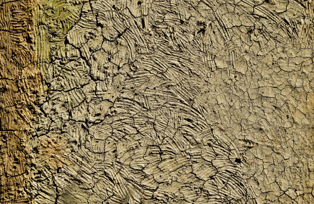 干燥的土壤表面有裂缝，照片独特图片下载