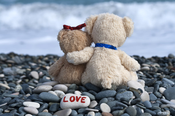 沙滩上两只相爱的泰迪熊图片下载