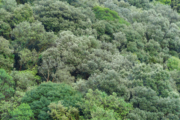 美丽的风景图片下载