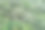 美丽的风景图片下载