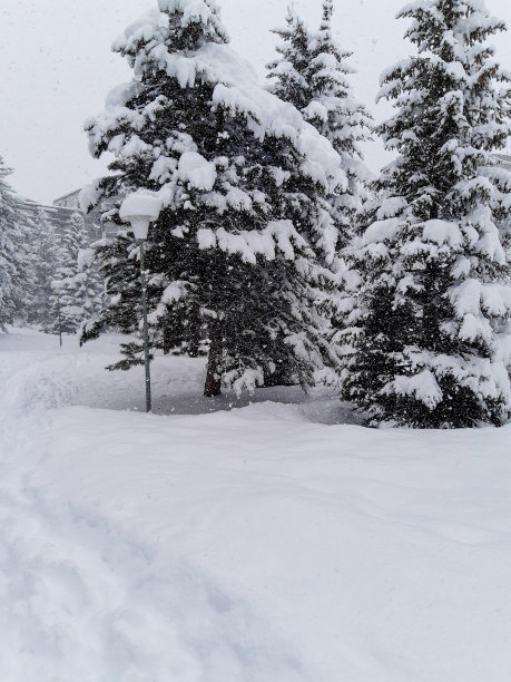 冬天寒冷的法国阿尔卑斯山白雪覆盖图片下载