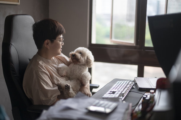 一名亚洲华人妇女在学习室内带着她的玩具狮子狗在电脑前工作图片下载