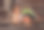 木桌上放着老鼠，还有蔬菜和厨房用具。图片下载