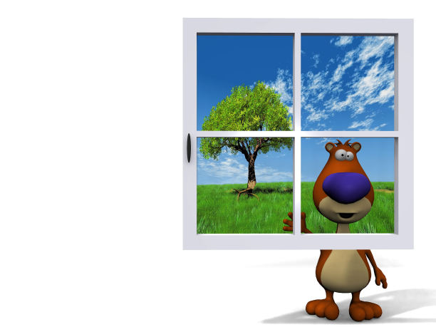 熊在蓝色窗户后面图片下载