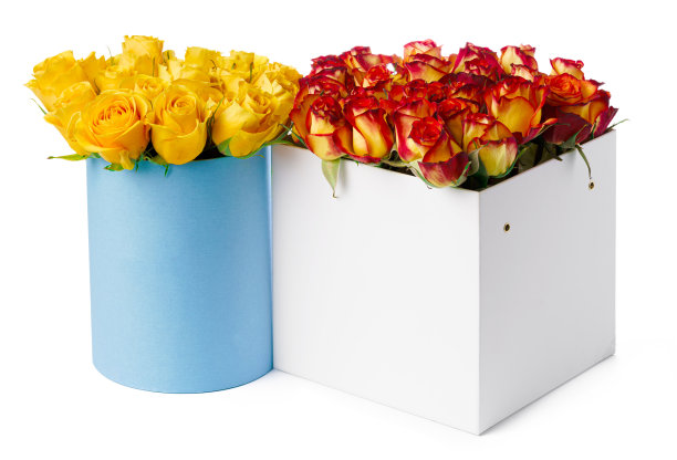美丽的盒子与新鲜玫瑰孤立在白色的背景图片下载