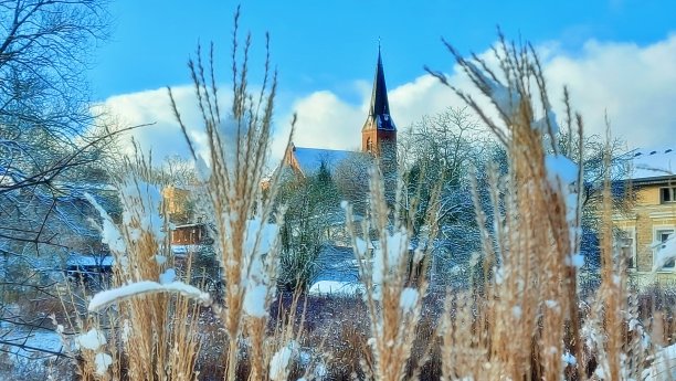芦苇和教堂的背景图片下载
