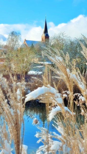 芦苇和教堂的背景图片下载