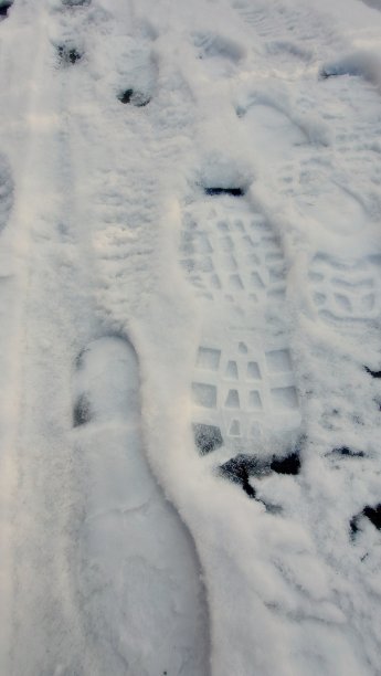 雪中的痕迹图片下载