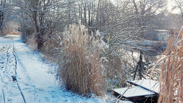 在菲诺运河和特雷德尔维格图片下载