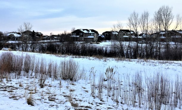 冬天下雪的美国郊区图片下载
