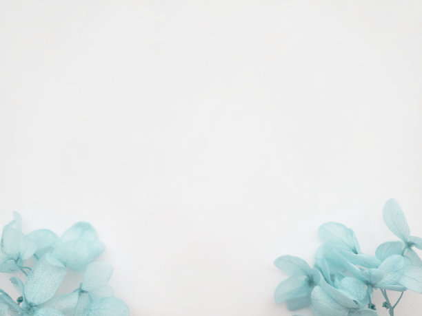 花组成从蓝色绣球花在白色的背景。图片下载