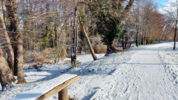 在菲诺运河和特雷德尔维格图片下载