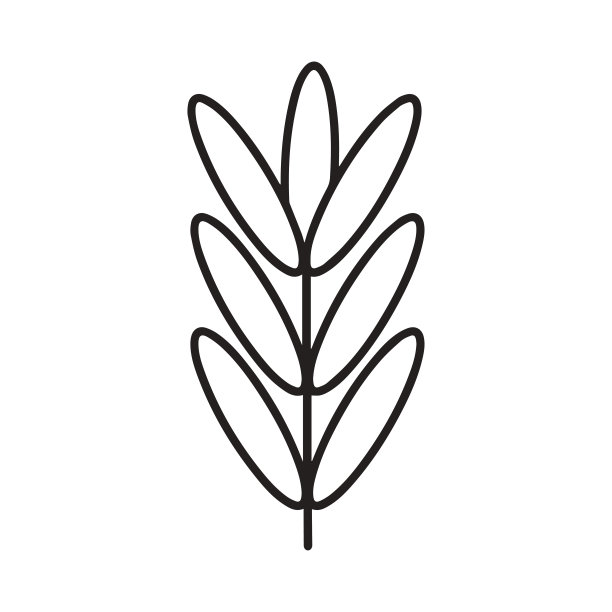 叶子图标。矢量图标的一个分支与树叶在坚实的背景。图片下载