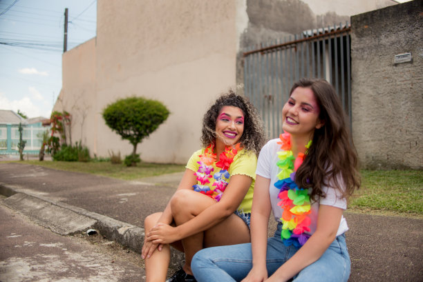 大流行期间家里的狂欢节。在巴西的狂欢节。图片下载