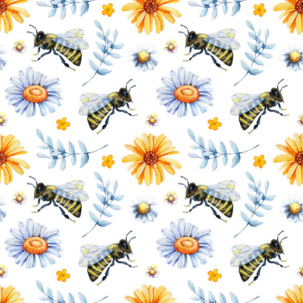 数码纸无缝花纹有蜂蜂、大黄蜂、蜂蜜、大田草本、洋甘菊、金盏花。手绘水彩插图孤立的白色背景图片下载