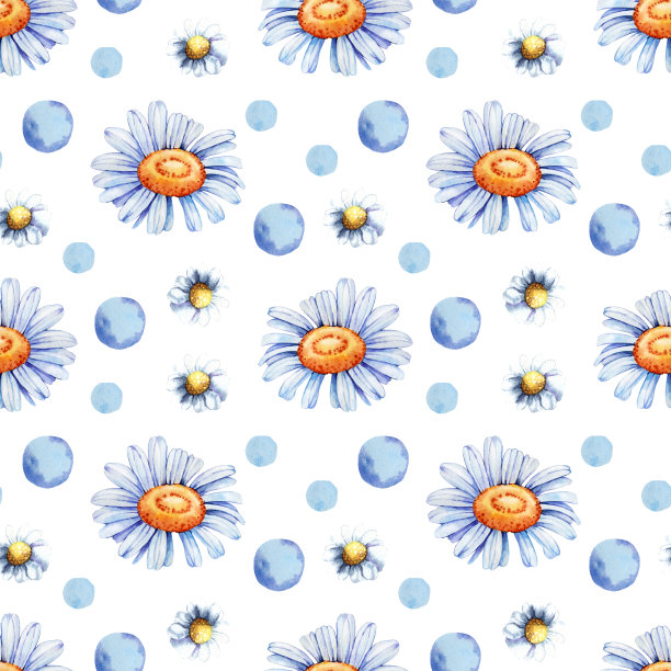 数码纸无缝图案与野花，洋甘菊，许多花瓣。手水彩插图孤立的白色背景。图片下载