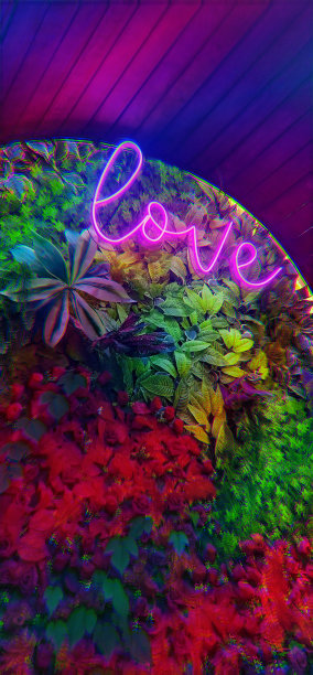 一见钟情图片下载