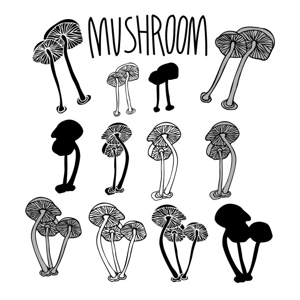 孤立的黑白抽象设计图片下载