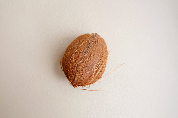 简约风格的椰子墙纸。异国情调的热带水果在明亮的自然背景。素食成分。烹饪课海报或书籍封面图片下载