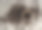 咖啡杯与烘咖啡豆亚麻的背景。一杯撒着咖啡豆的黑咖啡。新鲜的咖啡豆。图片下载