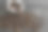 亚麻袋子里的咖啡豆散落在木桌上。新鲜烘焙的阿拉比卡咖啡豆。图片下载