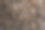 以新鲜阿拉比卡咖啡豆为背景。图片下载