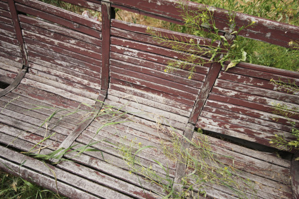 废弃的花园和旧板凳图片下载