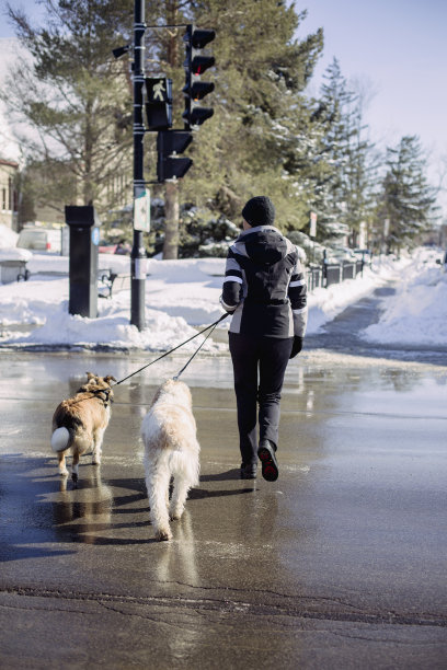 遛狗的女人图片下载