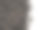 红茶干叶孤立于白色图片下载