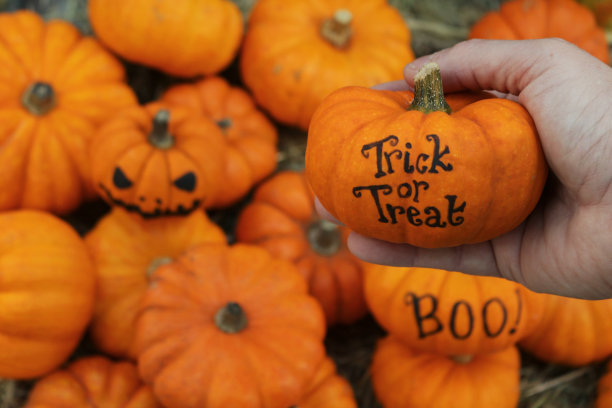 一个女孩手里拿着橙色的葫芦，上面是一堆橙色的南瓜和葫芦，不给糖就捣蛋，从高处看，聚焦前景图片下载