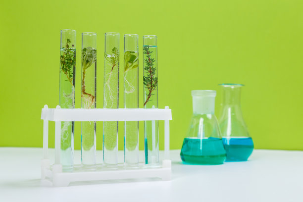 各种实验室玻璃产品和天然成分在化妆品实验室的白色桌上图片下载