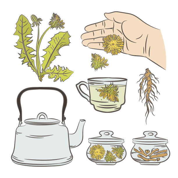 蒲公英制药应用医学图片下载