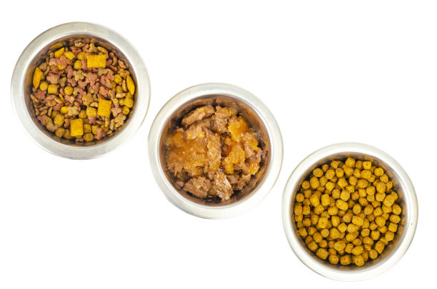 装有不同宠物食品的金属碗。照片图片下载