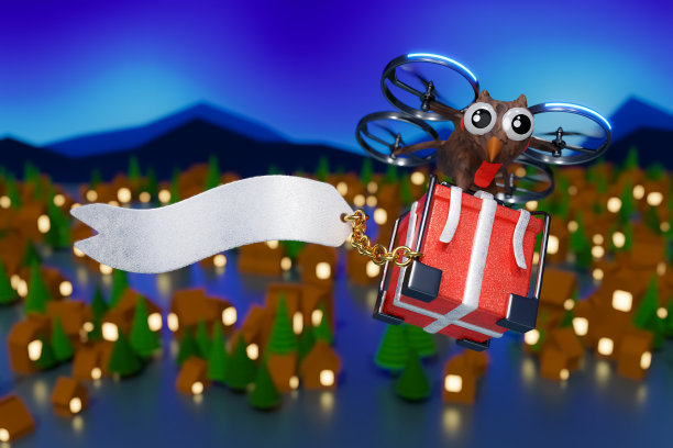 3d渲染场景猫头鹰无人机递送礼物盒与空白白色标签为圣诞季节，小镇雪村夜景。图片下载