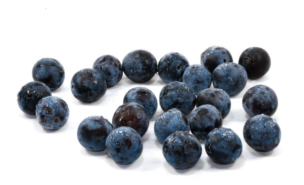 一堆新鲜的黑刺李子孤立在白色的背景上图片下载