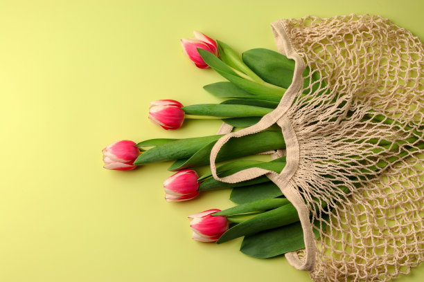 一束春天的花，一束郁金香，放在一个网袋里，背景很淡。妇女节，情人节概念，母亲节。生态包装。平的。图片下载